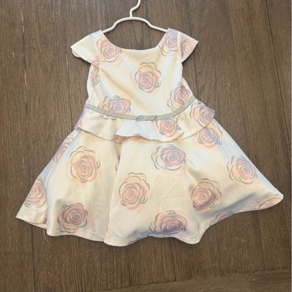 Janie and Jack Floral Pink and White Kids Dress size 3T - Picture 1 of 3